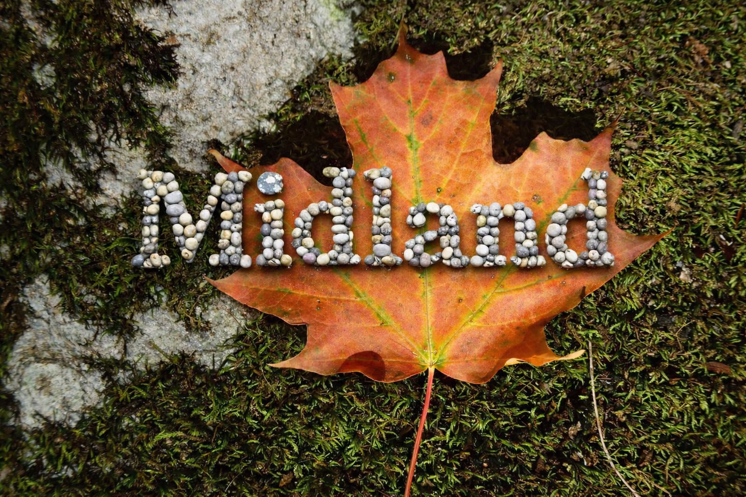 midland town over a leaf