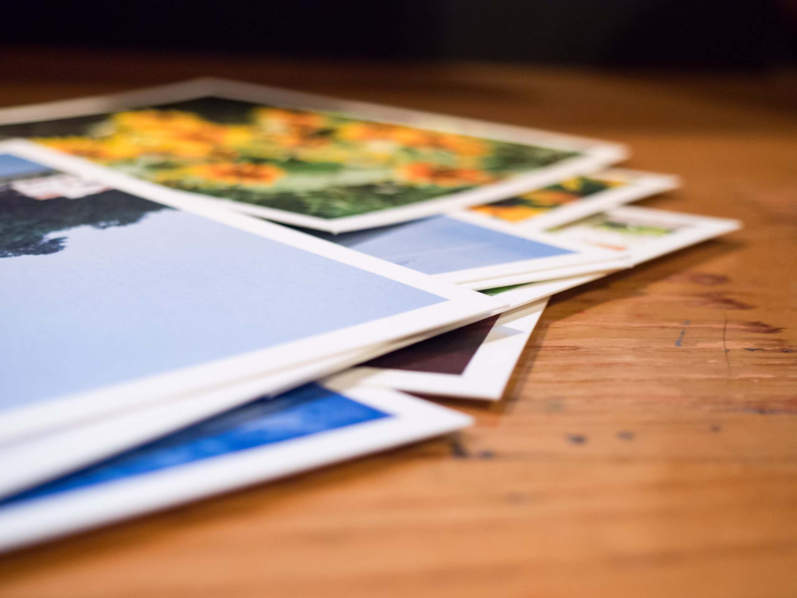 photos on the table