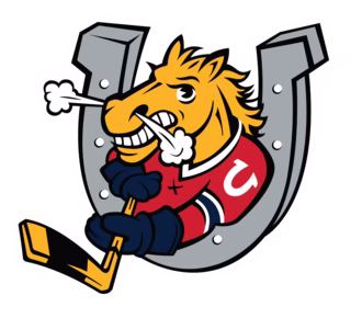 barrie colts logo